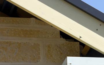 soffit repair Etchingwood